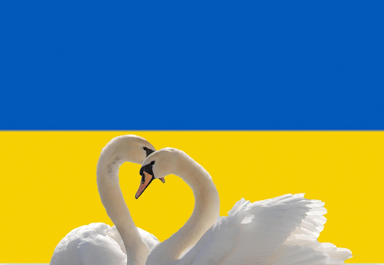 Stedentrip Kiev